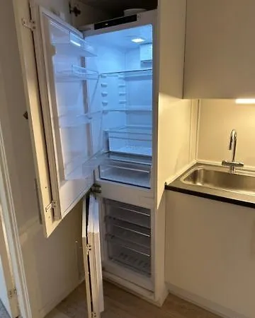 아파트 11a Hojbanetorvet 바일레