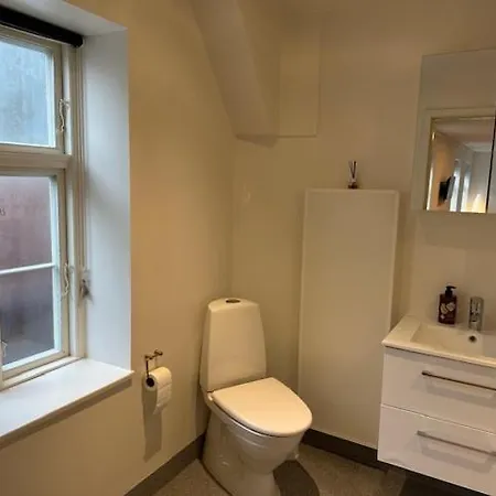 11a Hojbanetorvet 아파트 *