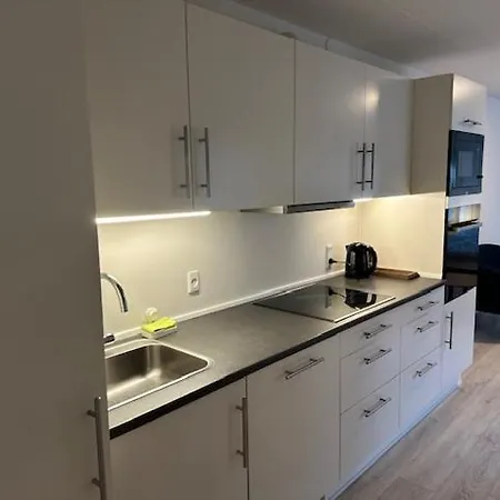 아파트 11a Hojbanetorvet 바일레