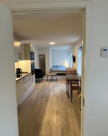 11a Hojbanetorvet 아파트 바일레