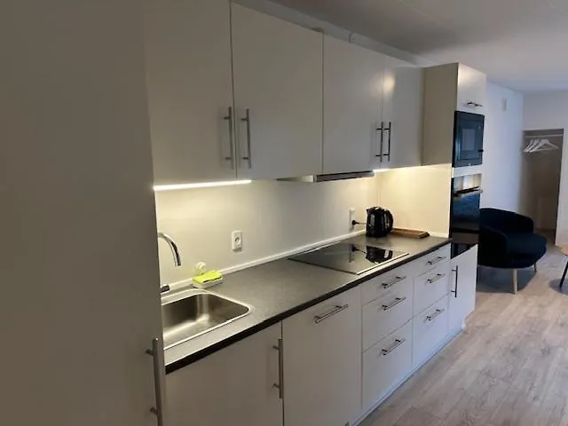 Apartamento 11a Hojbanetorvet Vejle